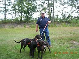 Ralph Sheffield and Plott hounds Snoop, Smokey and Nitro