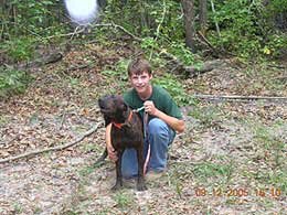 Reed Sheffield and Platt hound 